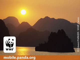 khalil_alali's profile picture. 