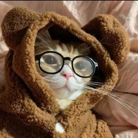 JUST MIH™ (@humuorn) 's Twitter Profile Photo JUST MIH™ (@humuorn) 's Twitter Profile Photo