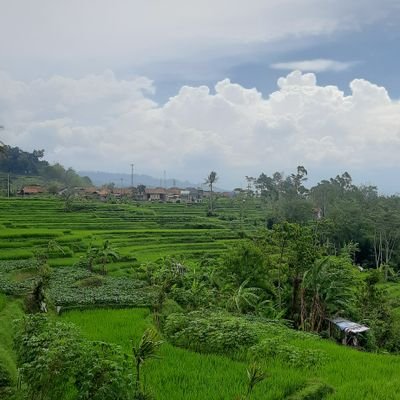 IMMR_Besar's profile picture. A man with dignity