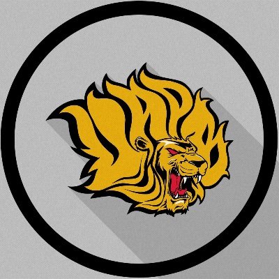 The Official Twitter account of UAPB Women's Basketball | #OurWay #GoldBlooded 🦁🏀