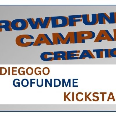 CROWDFUNDING CAMPAIGN EXPERT