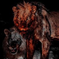 † (@itsnebulah_) Twitter profile photo