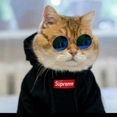 AD60660178's profile picture. Crypto enthusiastic.// professional meme coin shelling marketing experts//Botanist.