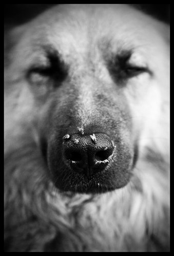 Pipenawer's profile picture. Clàudia Viñals