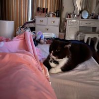 Burel Monty (@burelmonty49712) 's Twitter Profile