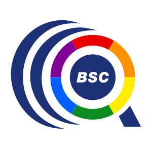 We are a group of QUEER people & allies at @BSC_CNS. We advocate for diversity, equity and inclusion of the LGTBQI+ community in science. Opinions are our own