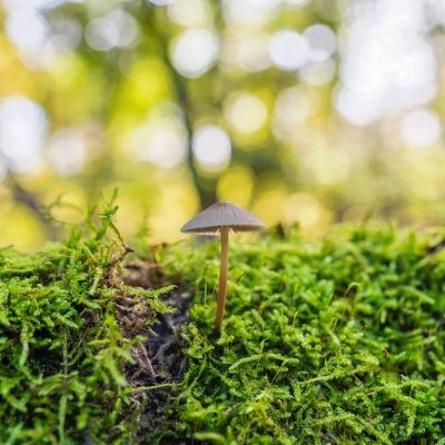 StaceyCros67163's profile picture. 