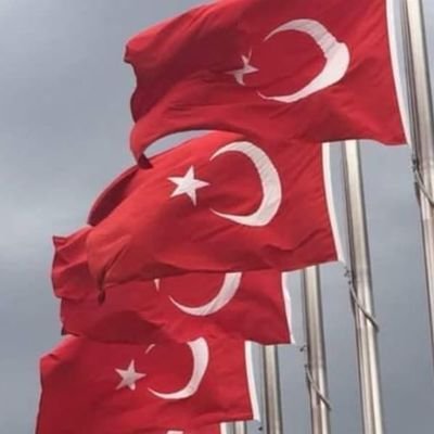 BirdenBire3437's profile picture. Güzellikler için