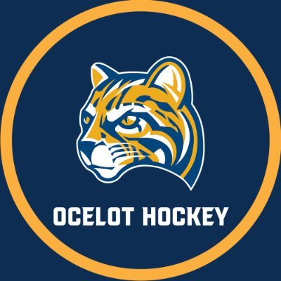 Official Account of the Schoolcraft College ACHA D2 Men's Hockey Program

#OcelotPride