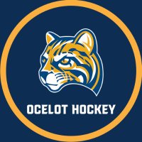 Schoolcraft College Hockey(@OcelotHockey) 's Twitter Profileg