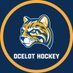 Schoolcraft College Hockey (@OcelotHockey) Twitter profile photo