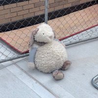 hal (@tinned__fish) 's Twitter Profile Photo hal (@tinned__fish) 's Twitter Profile Photo