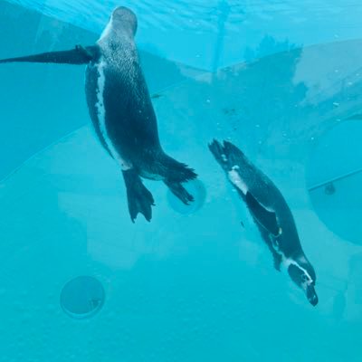 mi_i0907's profile picture. ⌄̈⃝辛く苦しい時こそ心に笑顔⌄̈⃝