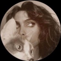 ▽ (@rexzll7) 's Twitter Profile