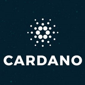 Passionate about the future of finance and decentralized technologies! 🌐🚀 Exploring the limitless potential of #Cardano $ADA.