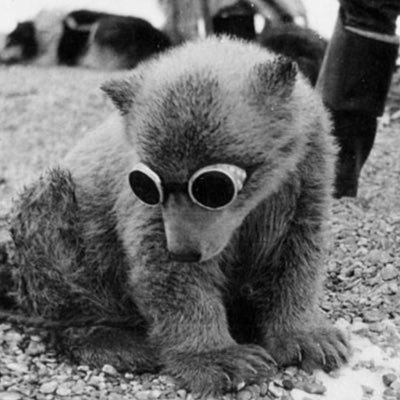 ministatues's profile picture. ✡︎ | Brazilian | @saopaulofc | 🇮🇱🇺🇦