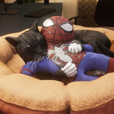 aKCTVcjqnz66c6W's profile picture. 