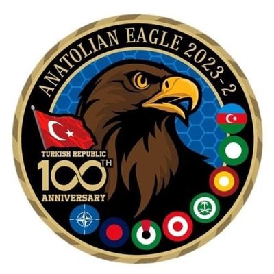 kayaliali943's profile picture. 