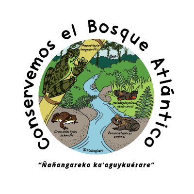 Anfibios Bosques Tropicales Paraguay