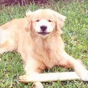 Enrique Jauregui - @Jauregui54321 - Twitter