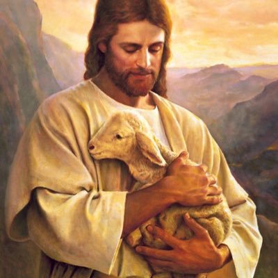 mkjw_ht's profile picture. 구독계