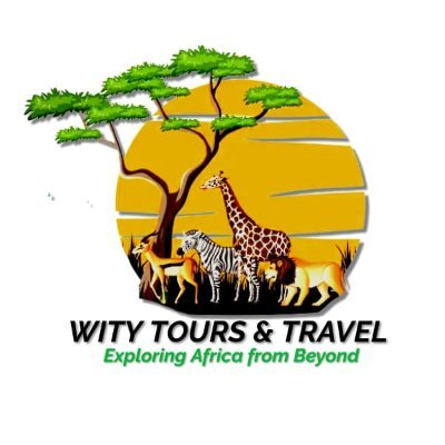 Your Travel Partner
We offer safaris and excursions in this beautiful and magical Kenya. Trust us with any travel experience in Kenya and in the cradle of manki