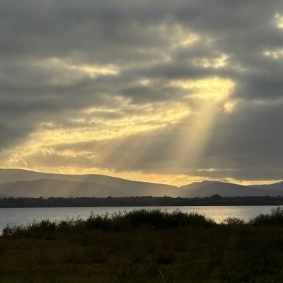 CrewHuman's profile picture. No DM’s, porn, wokeisum, crypto, no investments.