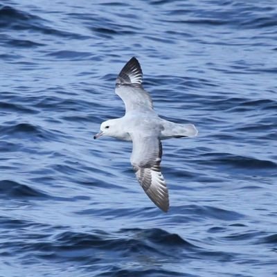 Science matters, save the southern oceans, act now with vision & purpose on climate to make the enduring change for our children! If only Nicolas Baudin!!