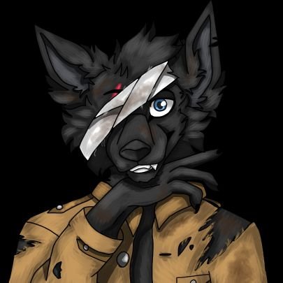 🏳️‍🌈🇵🇱|LVL 18|Black Wolf||Military|Fascinated by history|sometimes maybe NSFW|☭Communist☭|🇵🇱🇨🇿(🇷🇺🇫🇮I'm learning)
