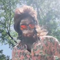 Steve the Ape (@floatingapecom) 's Twitter Profile