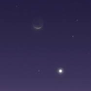 ahmdaad23's profile picture. الدين والوطن خط أحمر ..