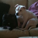 sarah auld - @bustysarah11 - Twitter