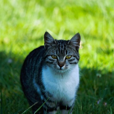 KayChamber19524's profile picture. 