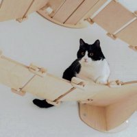 Addie Watkins (@addiew55442) 's Twitter Profile