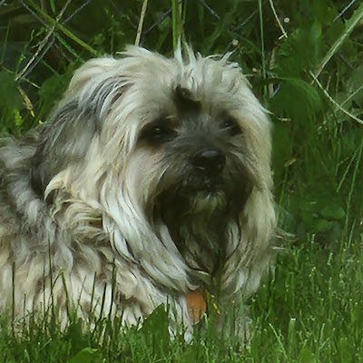 JoanneByedoe480's profile picture. 