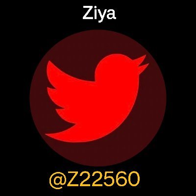 Ziya 🦋