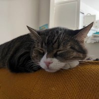 Mike (@mike27596) 's Twitter Profile