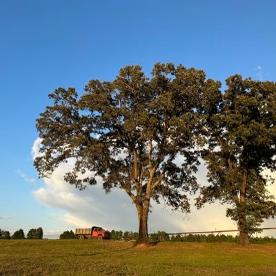 Soilman499981's profile picture. Christian, Science, Artist, comedian, News, futurist.. Christianity and science both explain God's creation; science misses the "where it came from" part.