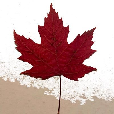 peacewdiversity's profile picture. Talking about what’s important to Canadians w/focus on 🇨🇦 politics. Skew left but have voted right in the past. Trying to bring back some perspective to 🇨🇦.