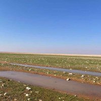 ابو خالد  V (@eagl_16) Twitter profile photo