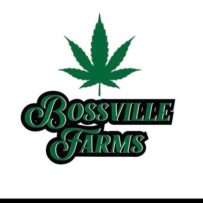 Family Owned Licensed Hemp Farm in South Carolina 🌱 @bossvillefarms_ on IG Consumer experiences and products #Dream #Inspire #Lead SC✈️TX