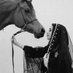 meesh✨🐎🇸🇦 (@meeshkm) Twitter profile photo meesh✨🐎🇸🇦 (@meeshkm) Twitter profile photo