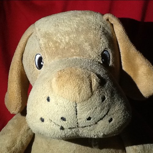 GreatestLuis's profile picture. I'm Luis Jose Manuel da Great. I'm the Official Ambassador of Greatness. I'm the brother of 'Da Great'. You may have heard of me and if you haven't where u been