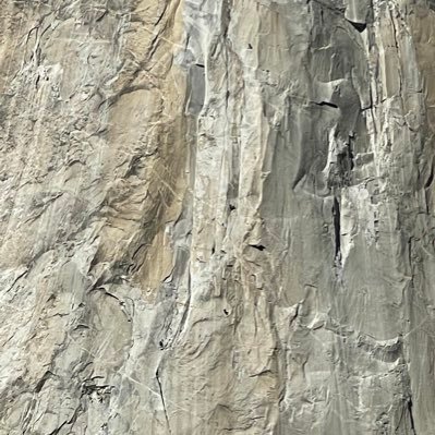 XSupremeraid's profile picture. #Sol #Crypto #Eth