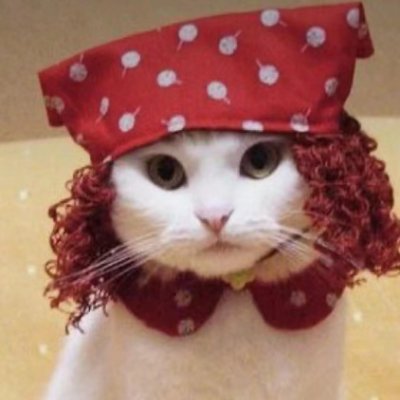 Maplelin123's profile picture. 