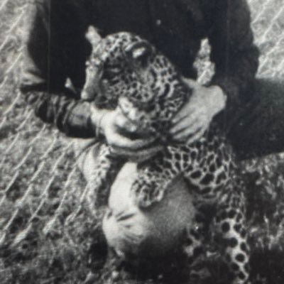 transfixmag's profile picture. Community-based digital quarterly magazine exploring the facets of transgender identity. SUBMISSIONS ⬇️