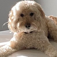 jboyced (@jdawgboyce) 's Twitter Profile Photo jboyced (@jdawgboyce) 's Twitter Profile Photo