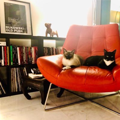 toptimization's profile picture. E-commerce, Booking Platforms, and UX.