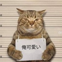 ピロリン (ほぼメシ垢)(@serozeroseroz) 's Twitter Profile Photo