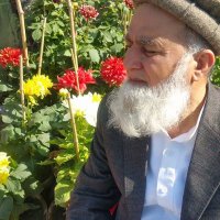 @Marwat-PTI (@hassanmarwat11) 's Twitter Profile